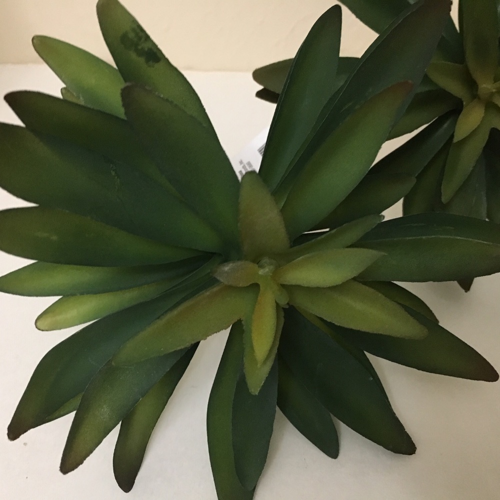 3 Hearth & Hand Faux Succulent Stem Leaves - Picture 4 of 5
